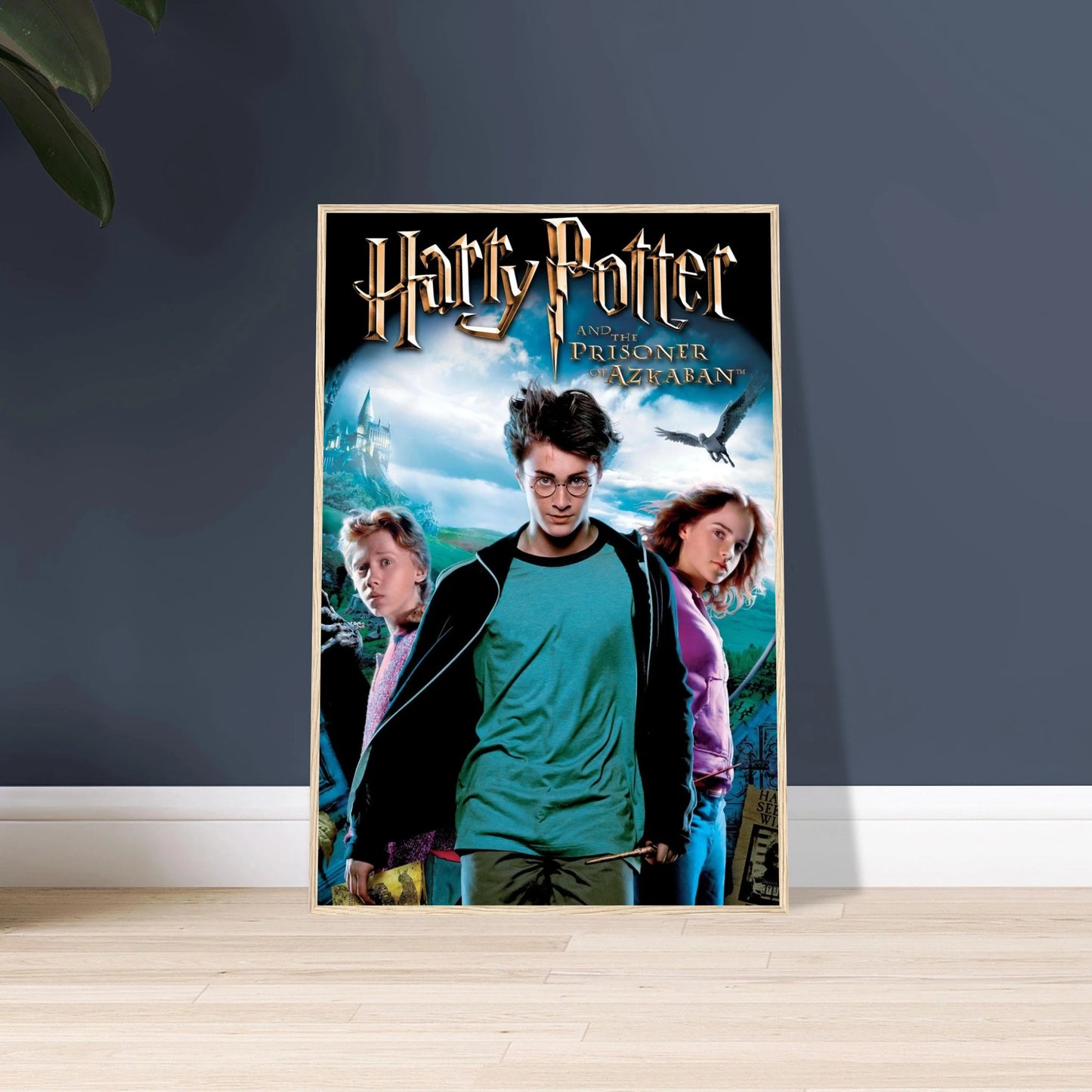 15aee35f-97c5-4841-a487-abe9e1b75ca8