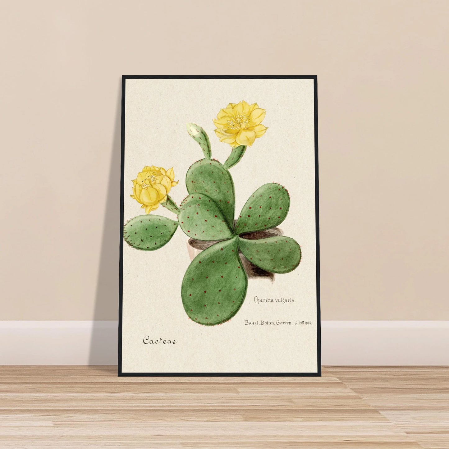 4c4d2786-df2d-46f4-9f8b-be2b1fbf04a3