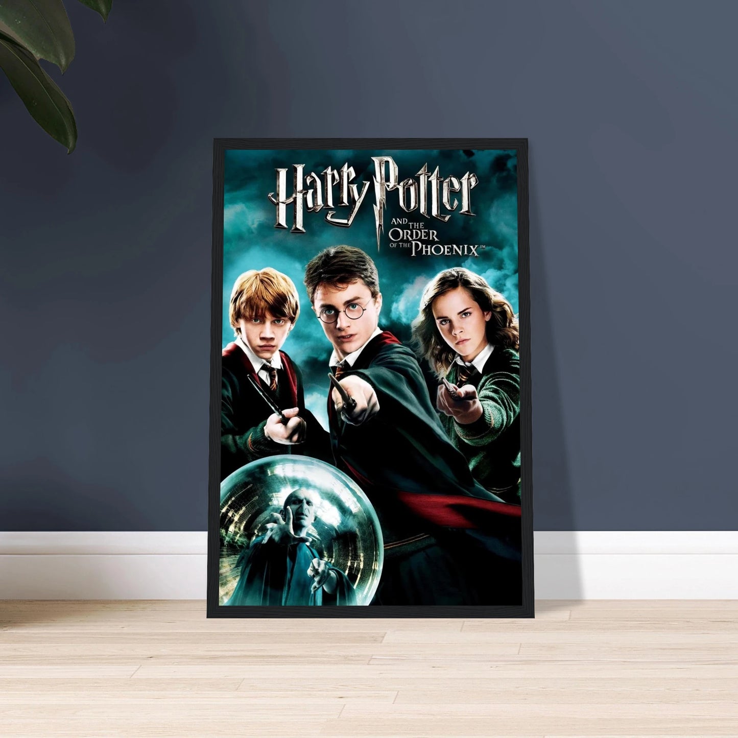 4d76187d-76cc-4fbe-a136-f22f88557f93