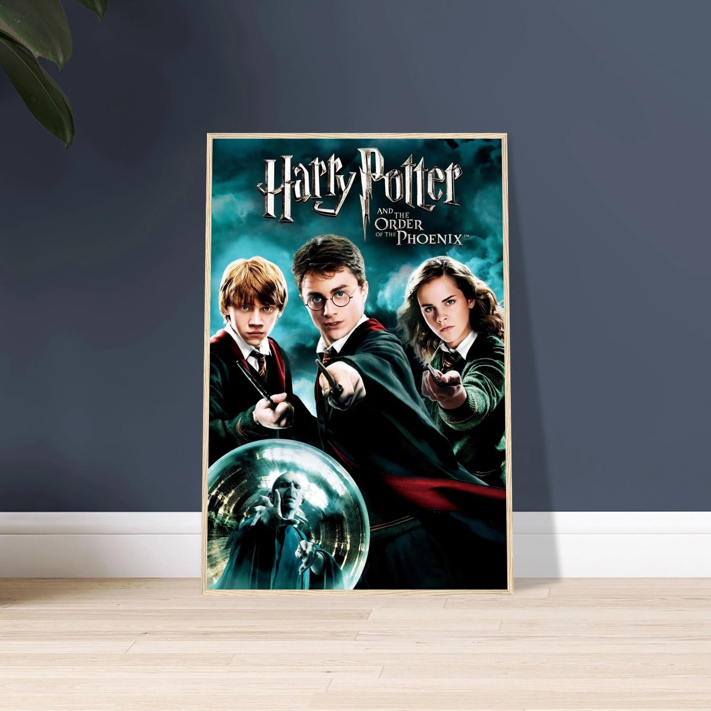 4fc825b1-fffd-451c-af45-adf6922979be