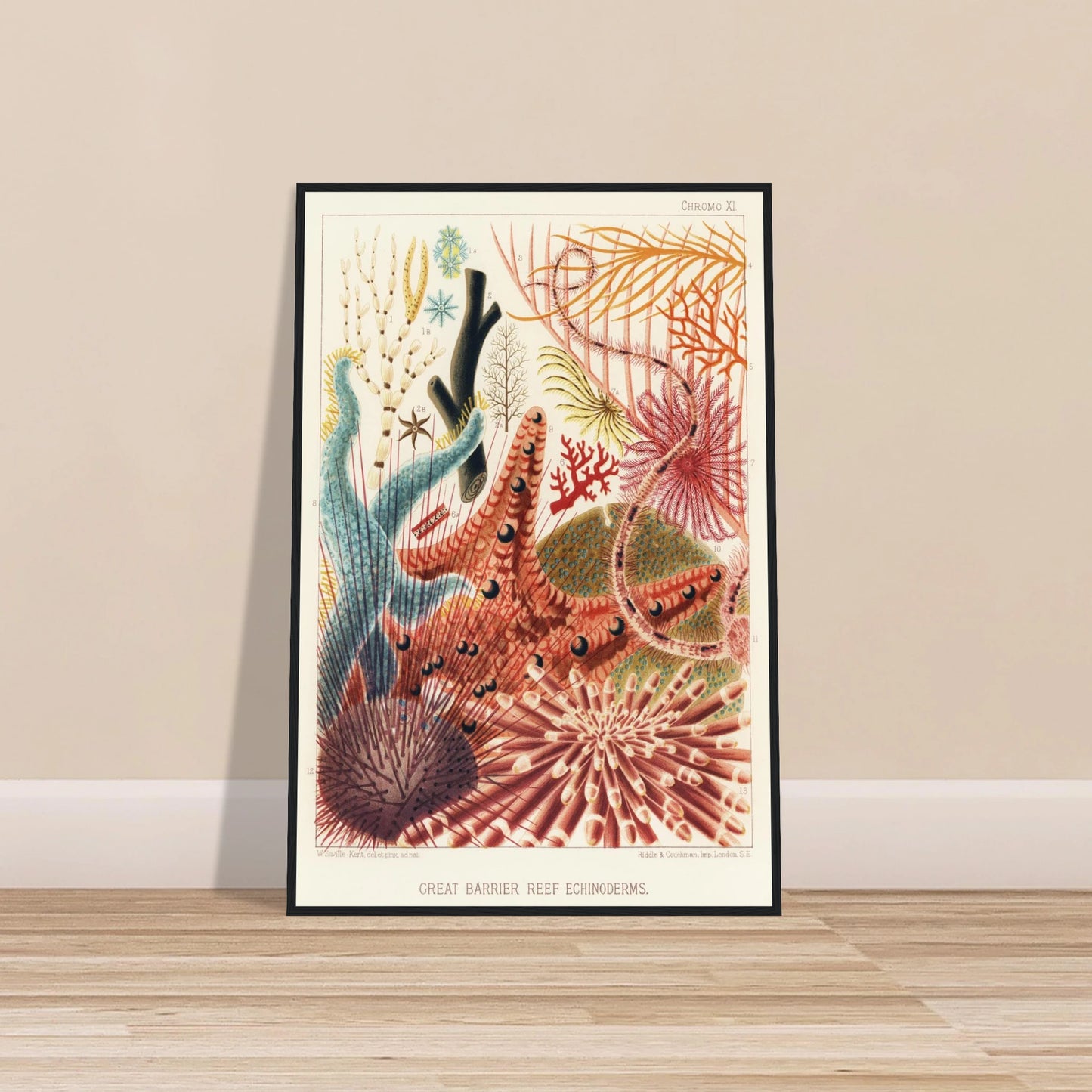 53d85137-642b-4aa6-b0d7-ed02f143bbc8