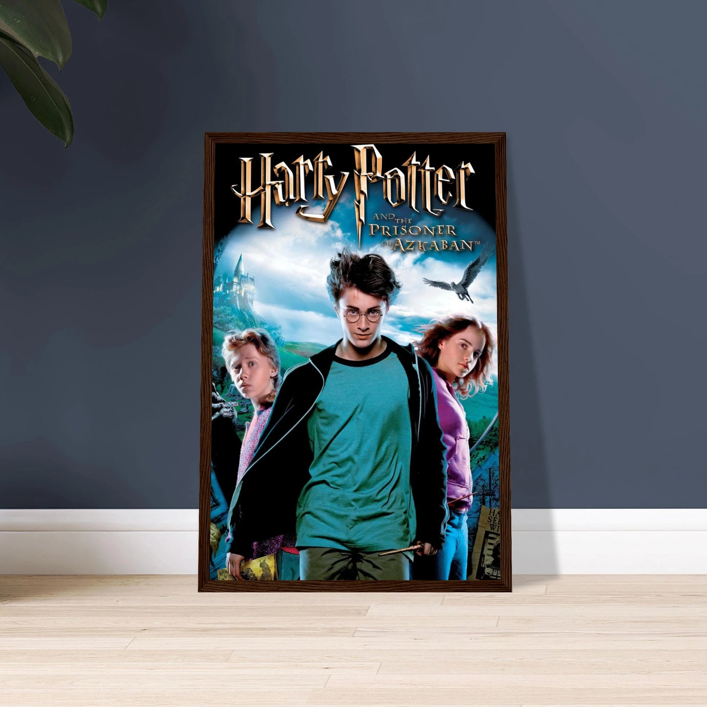 57275634-2ca6-4f78-b42a-0e076ad00d8e