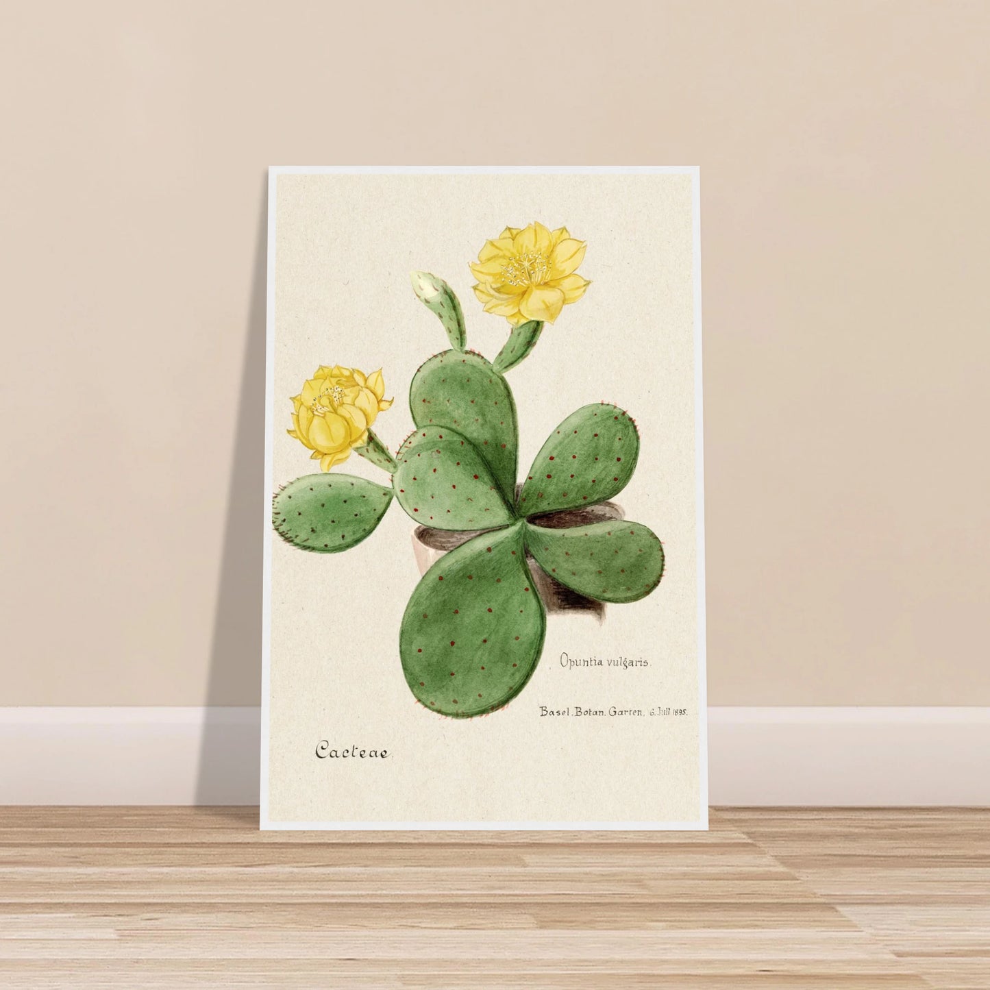 6483f386-630d-445f-8e0c-6507527428a1