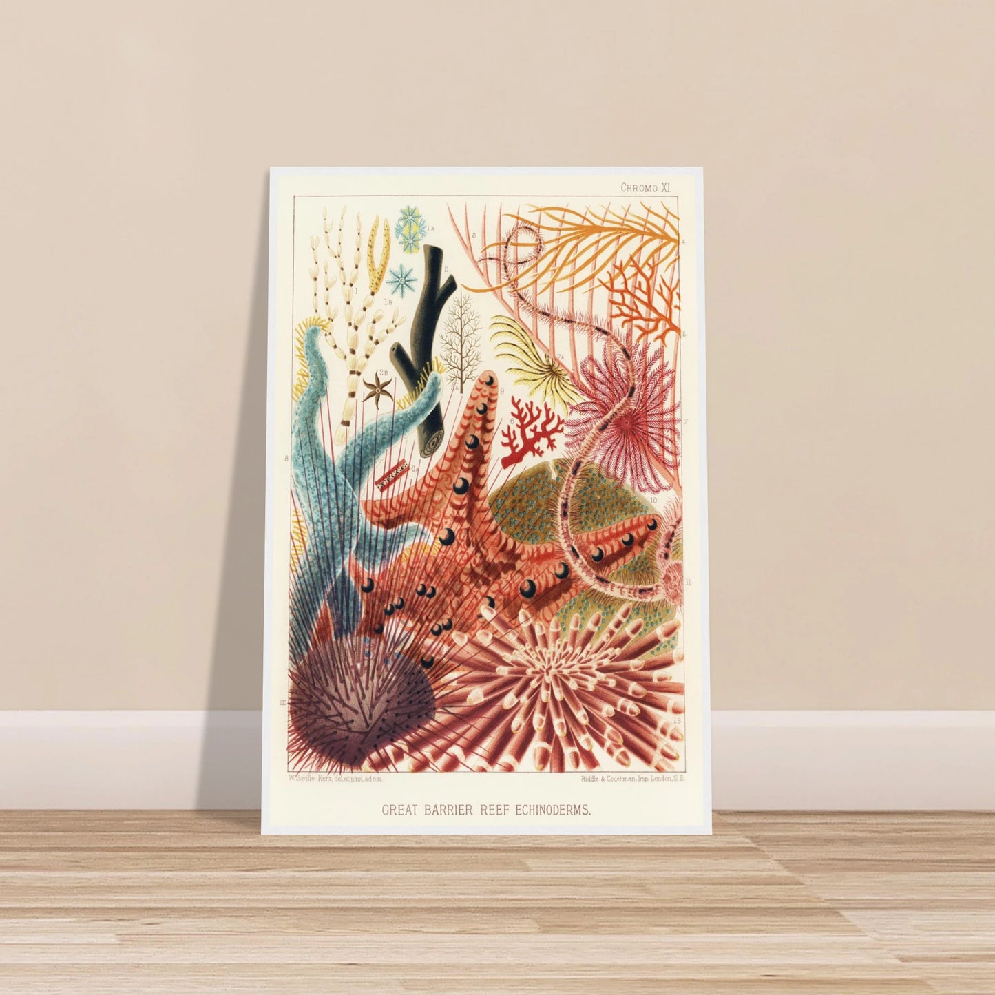 a285834d-414e-4947-8080-96726b88f064