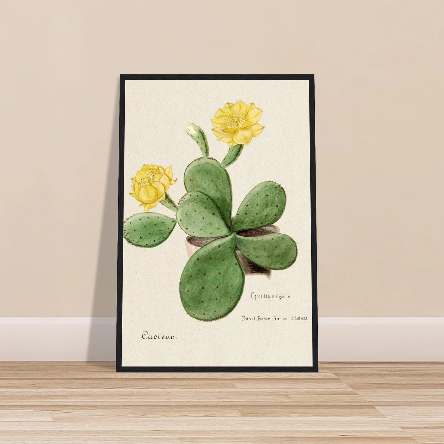 a8c144bd-b36f-43a5-9ebc-e93c9709a8ca