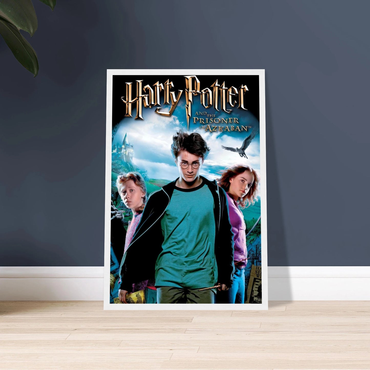 b78ed8ee-45c7-415a-9d2f-c166e679e4e3