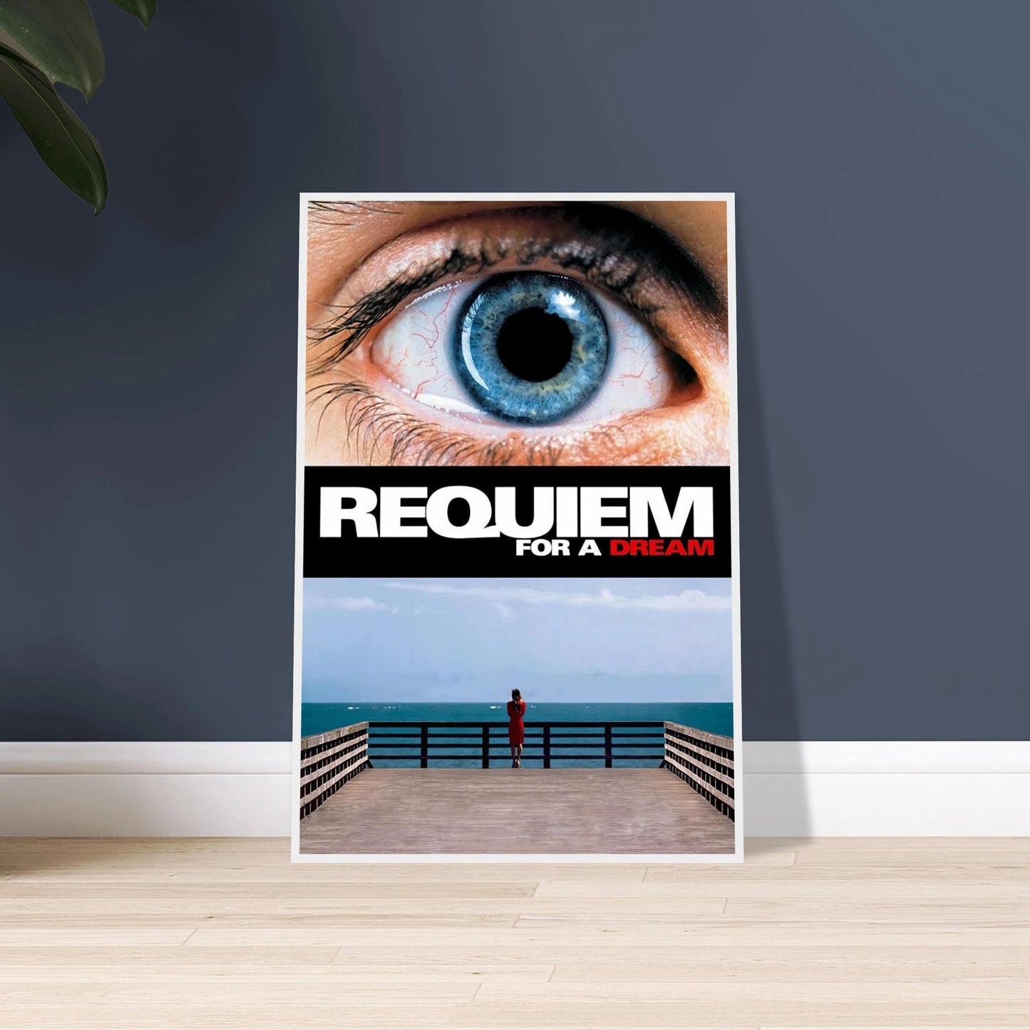 c3d6749f-66a0-41c0-9546-00182eabfc5e