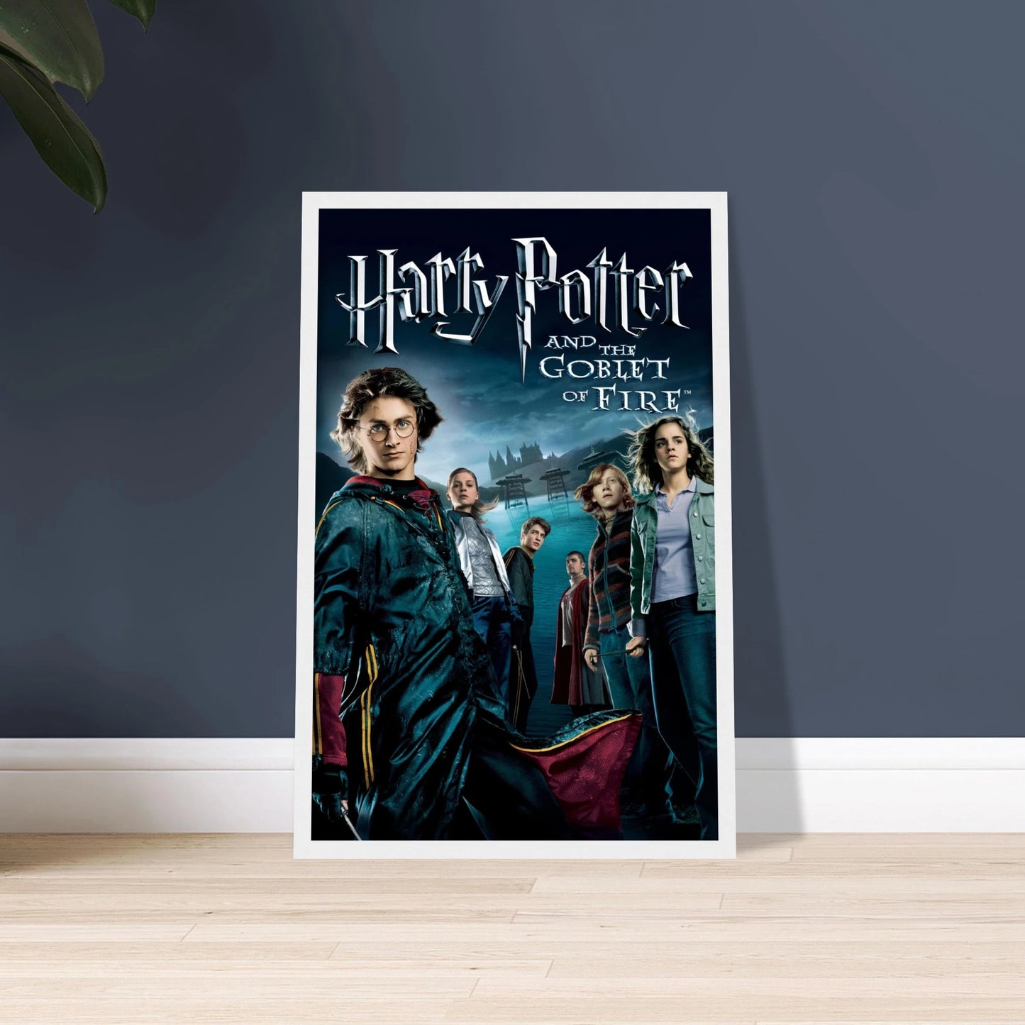 c8905197-262c-491a-9939-8f60eeab653c