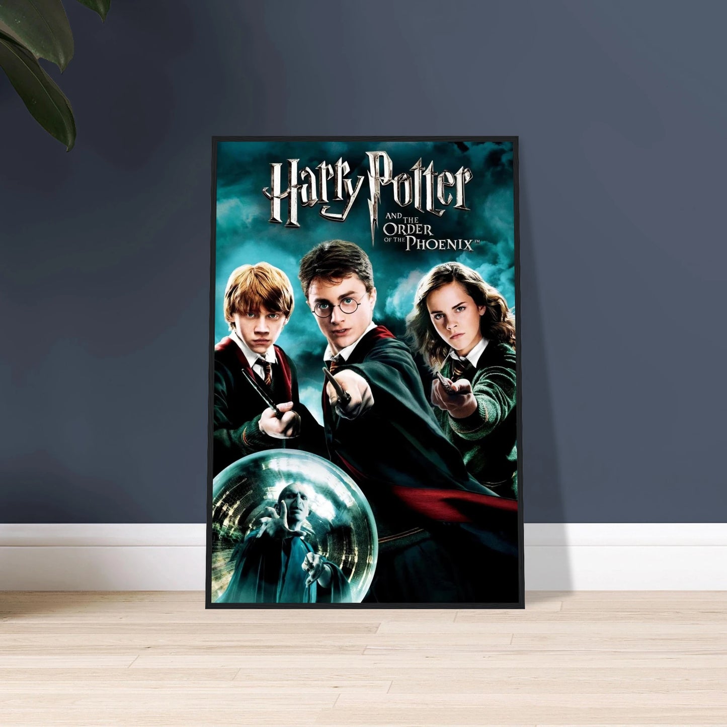 d948c496-3095-428a-8a2d-3889d2cc87c1