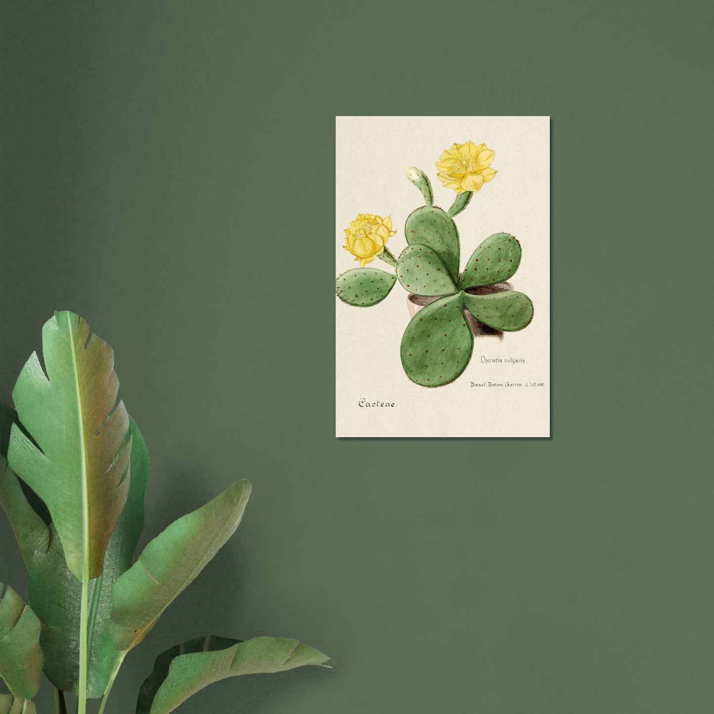 ec813f61-edd0-480f-98dd-925c6895c100