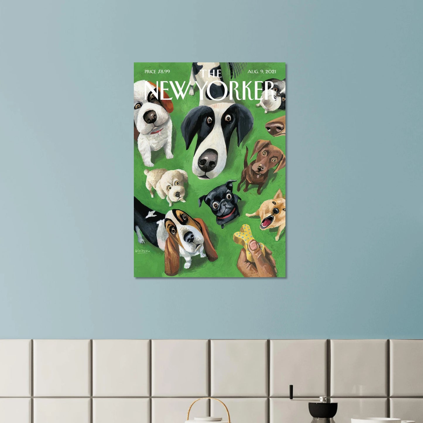 0097a191-728f-4e35-8ed5-6a7469e26aff