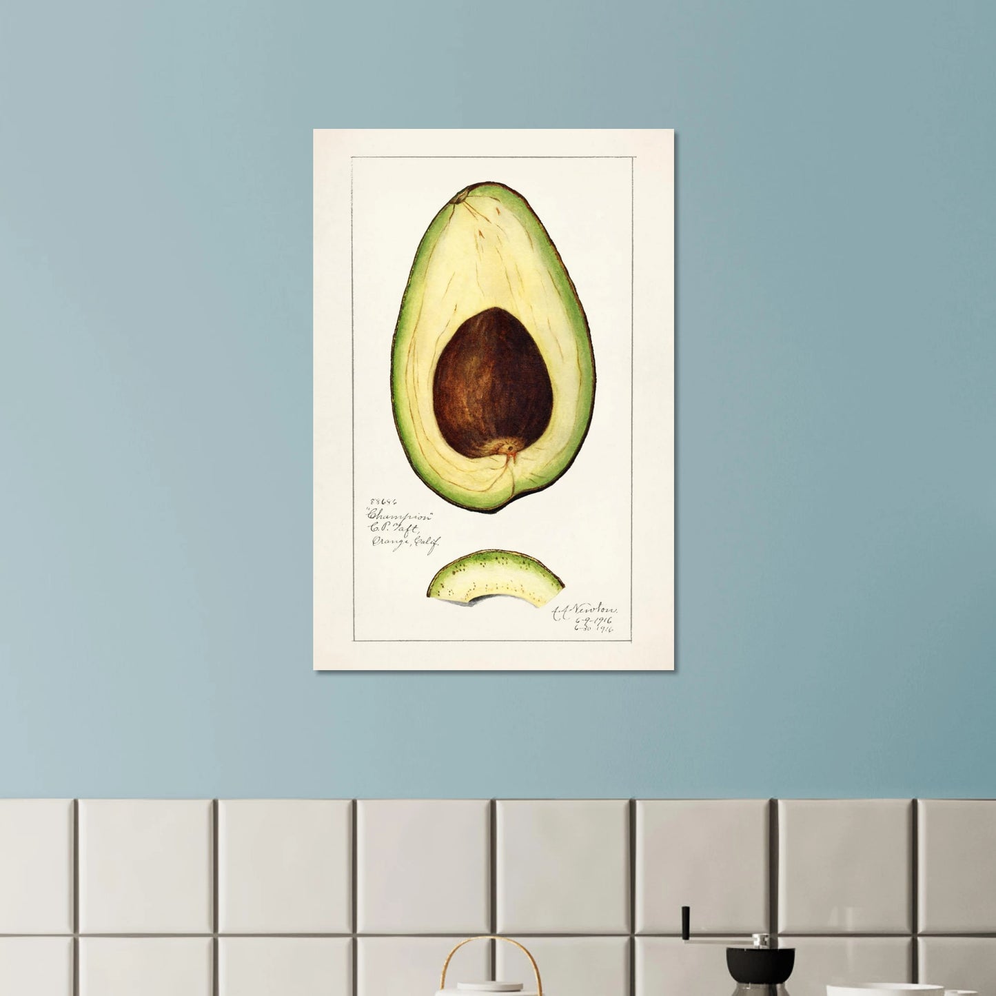 091dc923-548d-4602-aae4-65b6d81f1c85