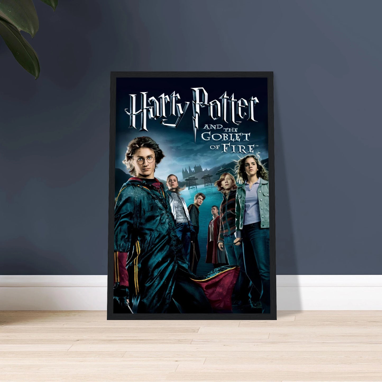 1c62af41-d5ff-4322-b2c0-037951a6c2ba