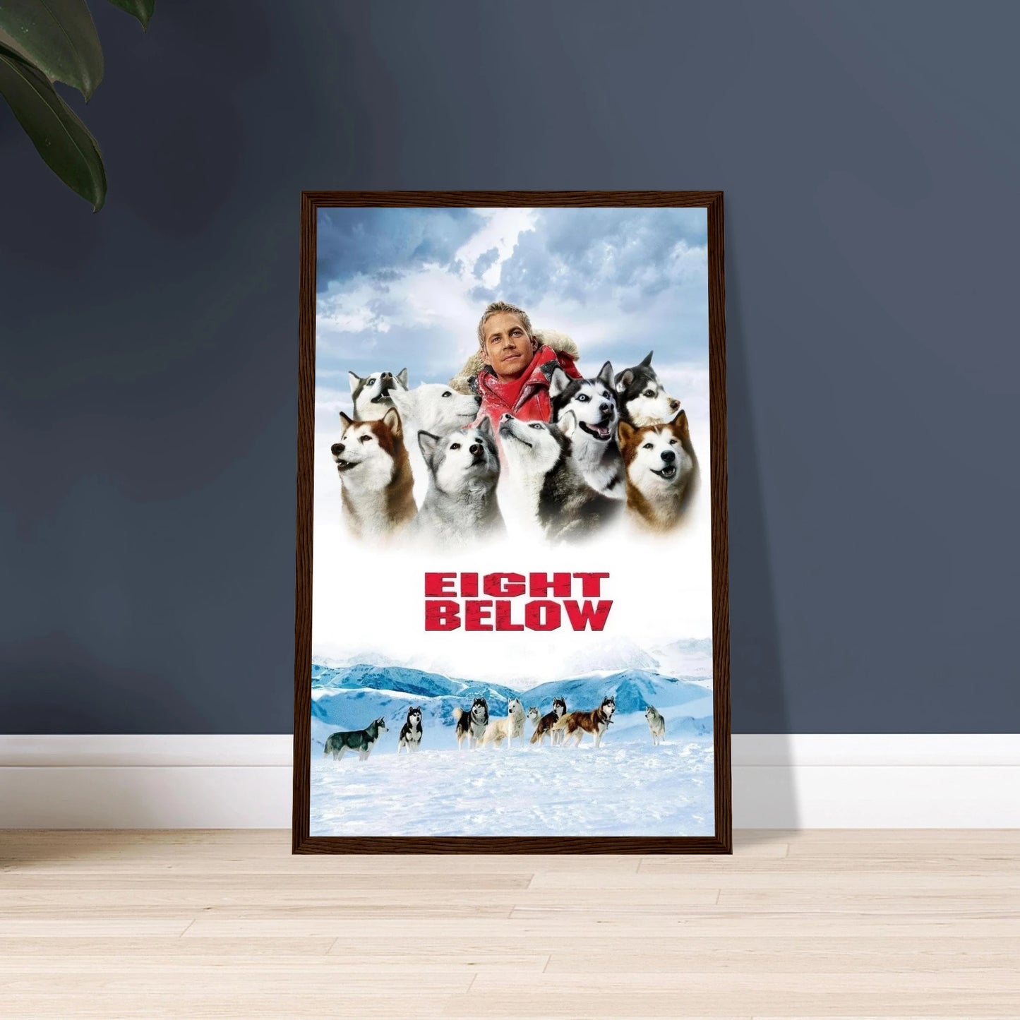 2497397d-154e-4bd2-8dfd-cf82a69d468e