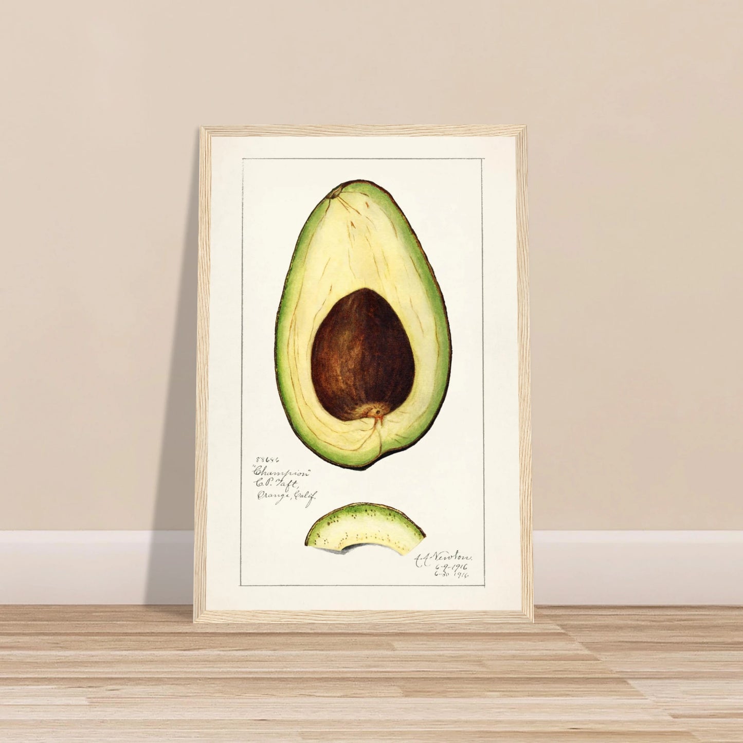 2a19e363-b0bf-43f3-a7c6-5544ae7ddf84