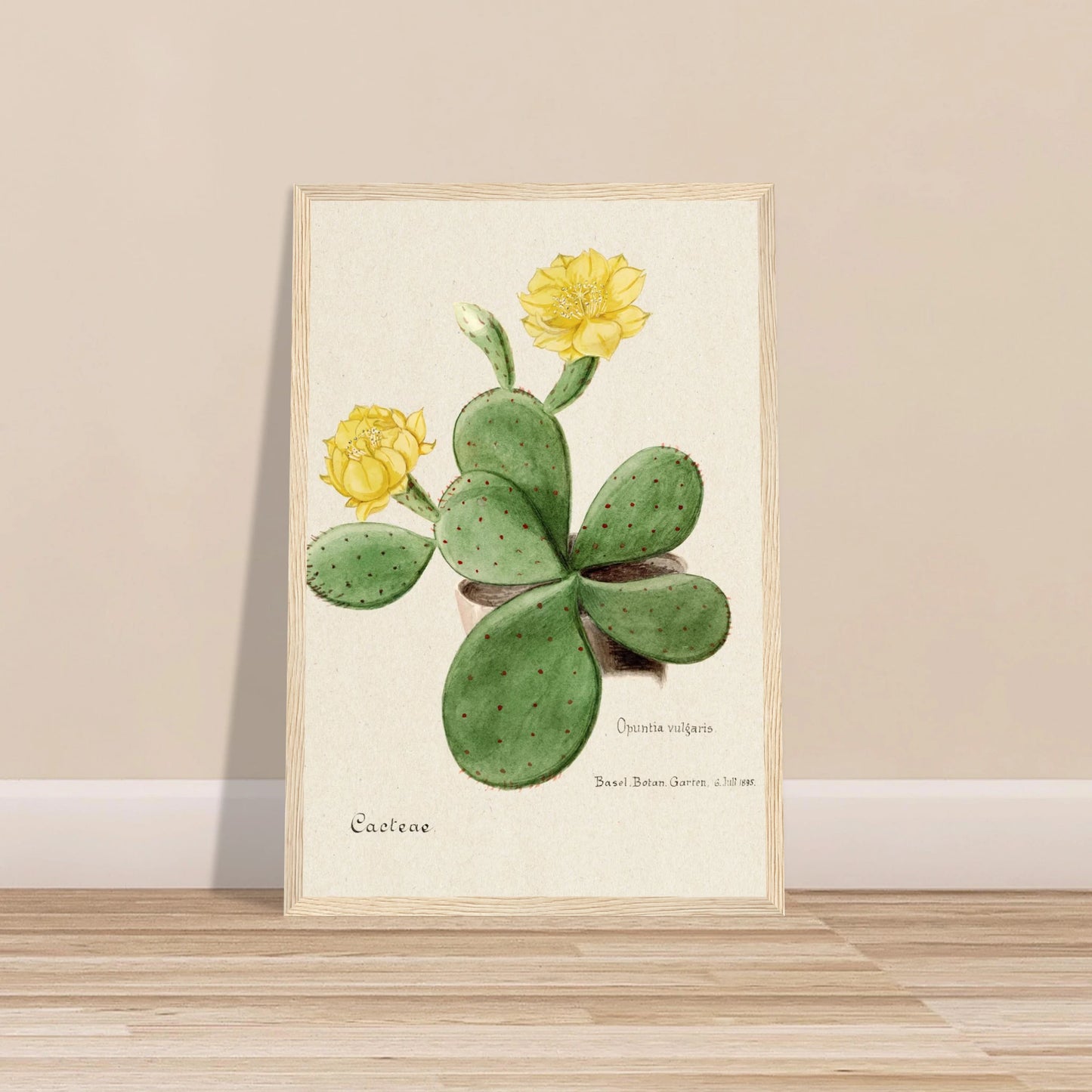 2e46dd53-385c-4755-beb2-56633c6e23bb