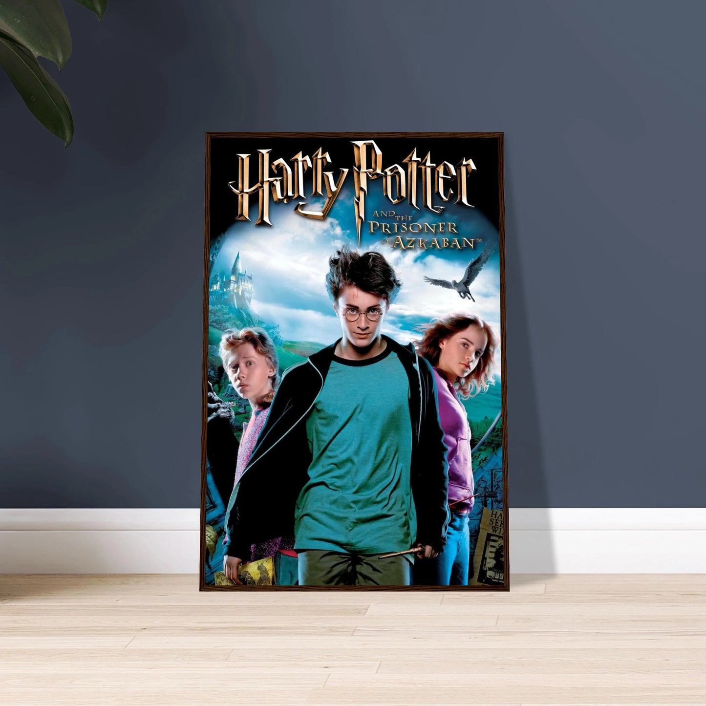 428926d5-9379-4f35-84a2-f022f595aa78