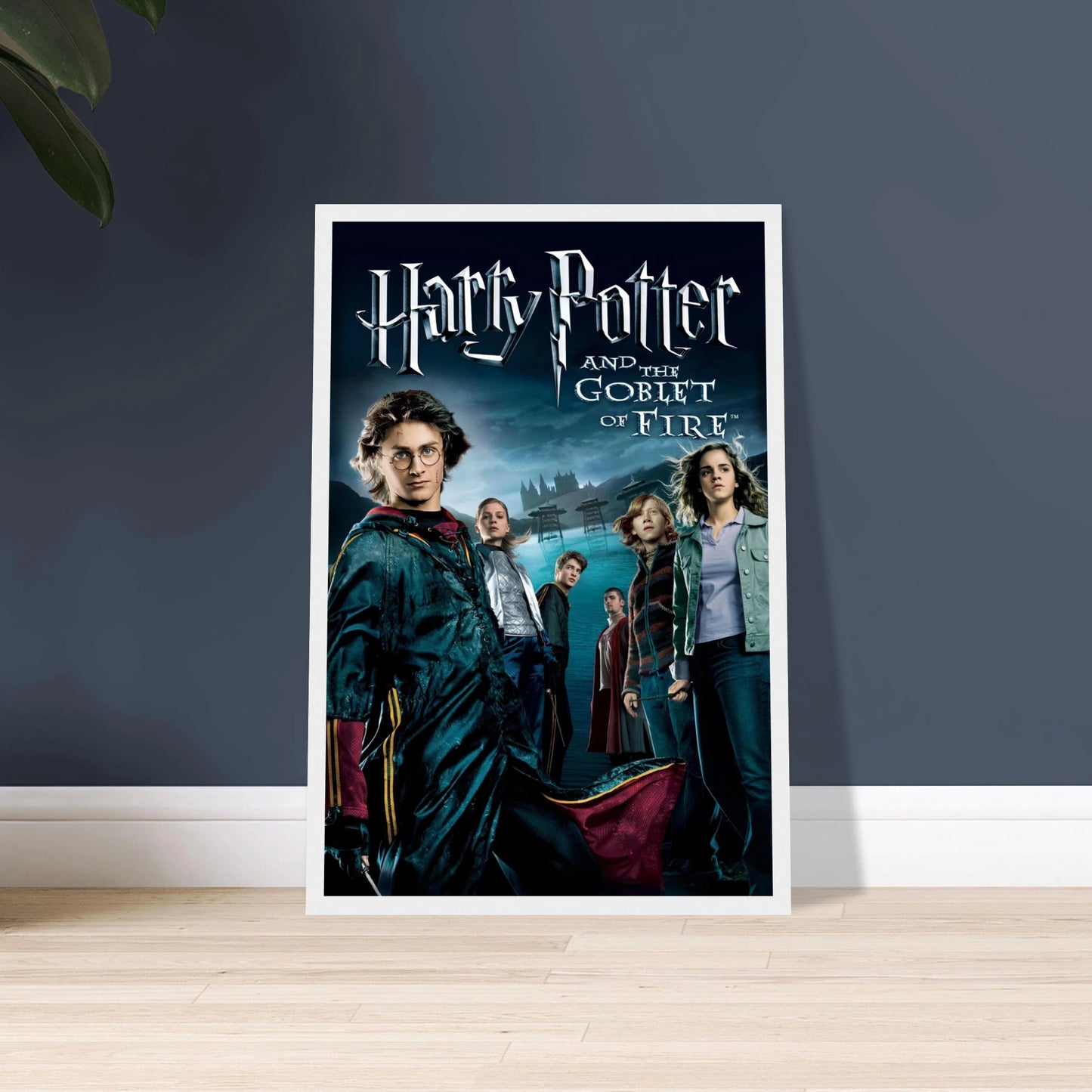 4996c308-5dde-4640-a69a-72853741fb4a