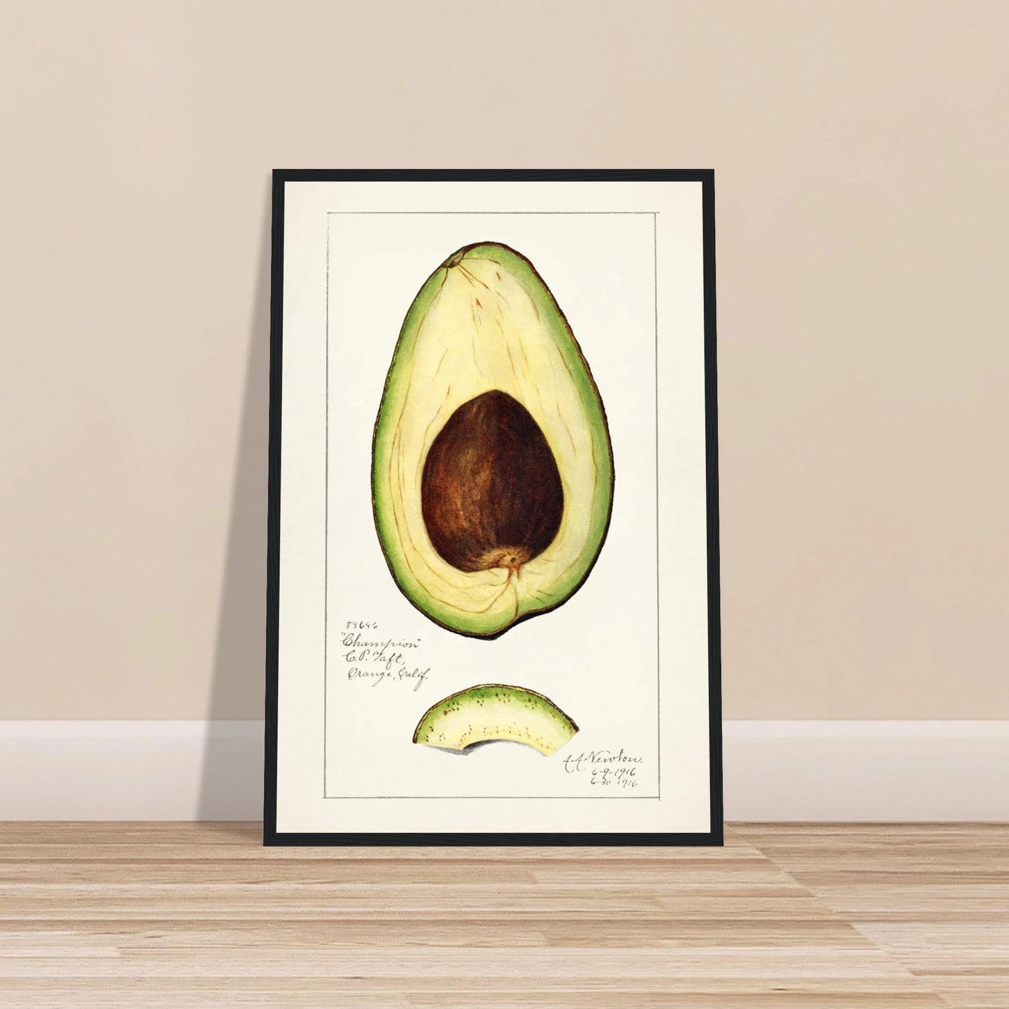 570d3413-28ea-416a-bca3-456563a27917