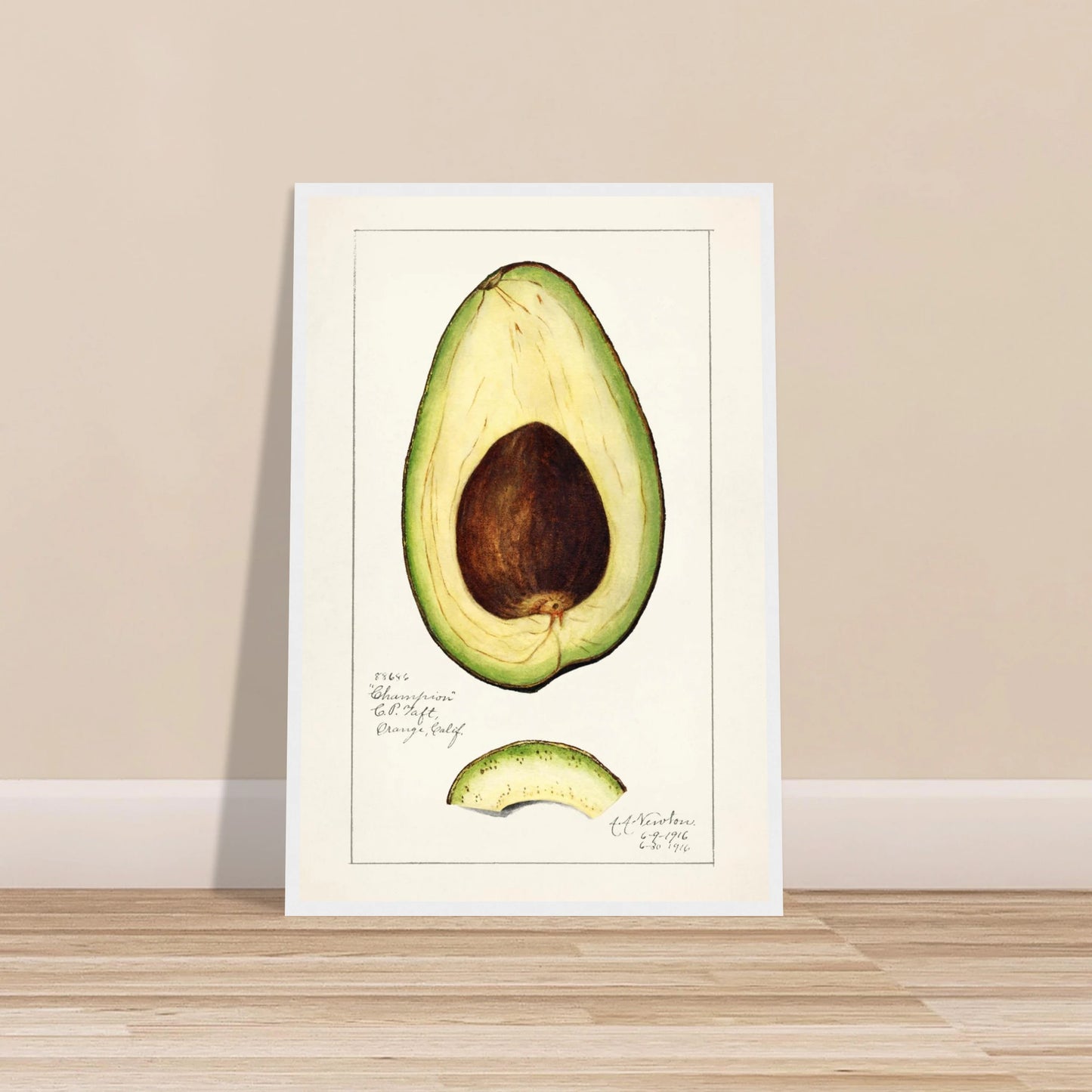 70214ed3-b381-46dd-af50-7c71d444b1b1