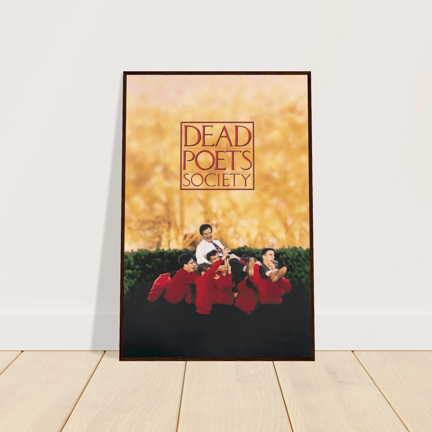 7572d43e-cf9c-4da6-9c1c-d1724b0d48ee