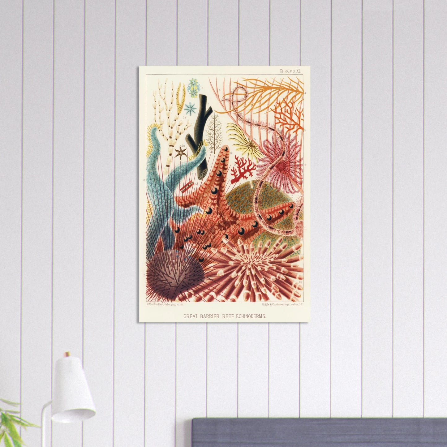 75f0997d-849c-465f-a598-224b93676904