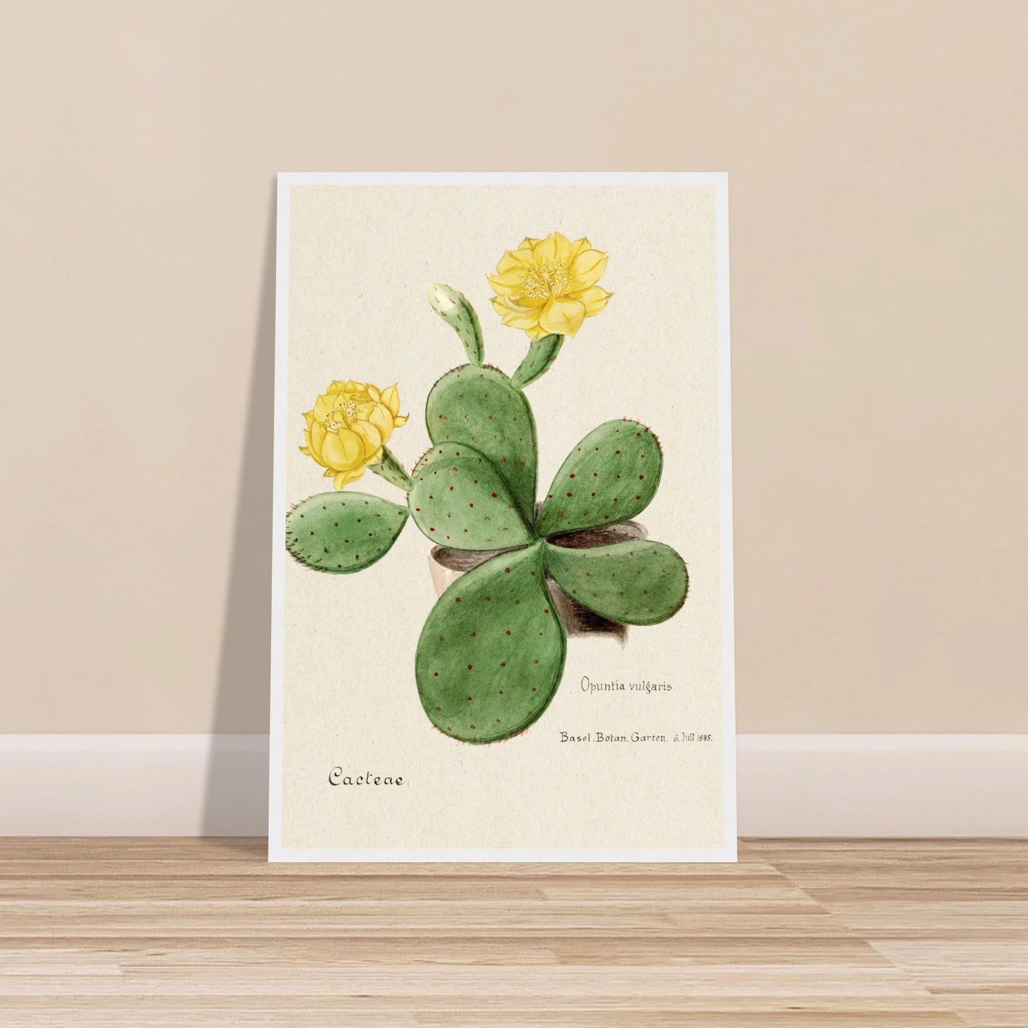 8729326d-ba92-4c98-a4eb-58e1a5d1fe8a