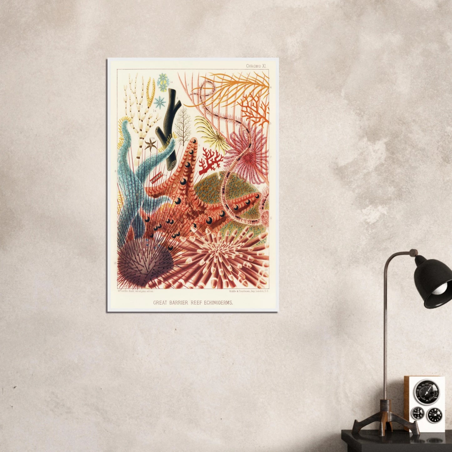 99b1a7ee-f28a-4255-9f24-2f4e5fbc4738