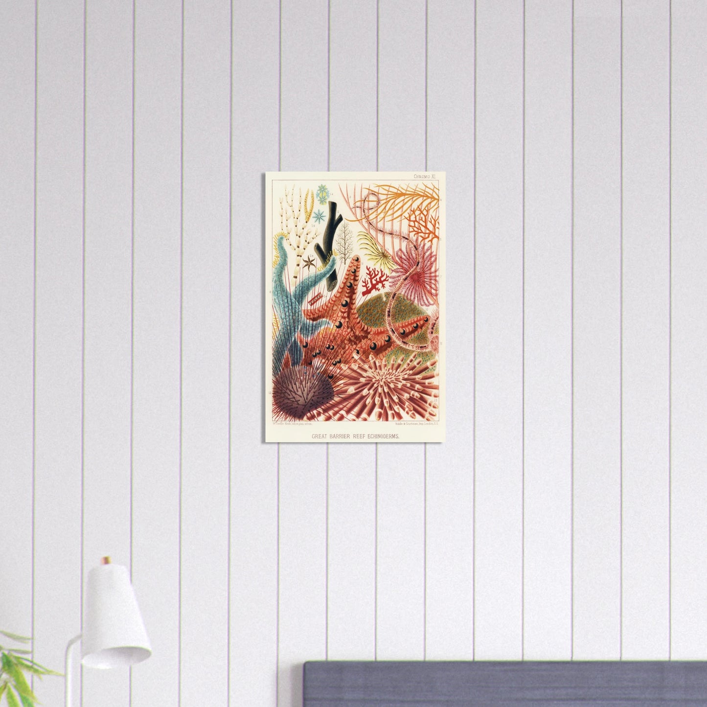 ba59580e-9290-47c5-b6e5-832715ff9b61