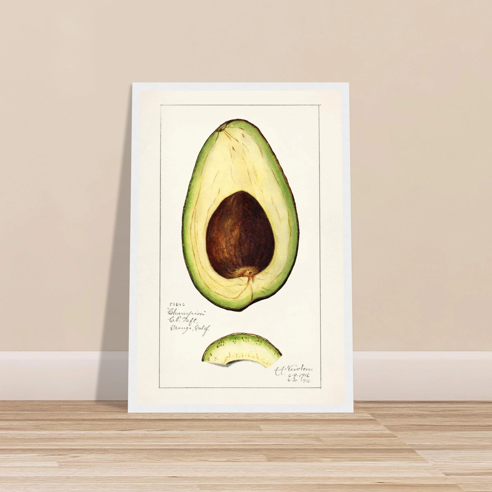 cac6ece1-af12-4777-ad57-1fc74c00a5db