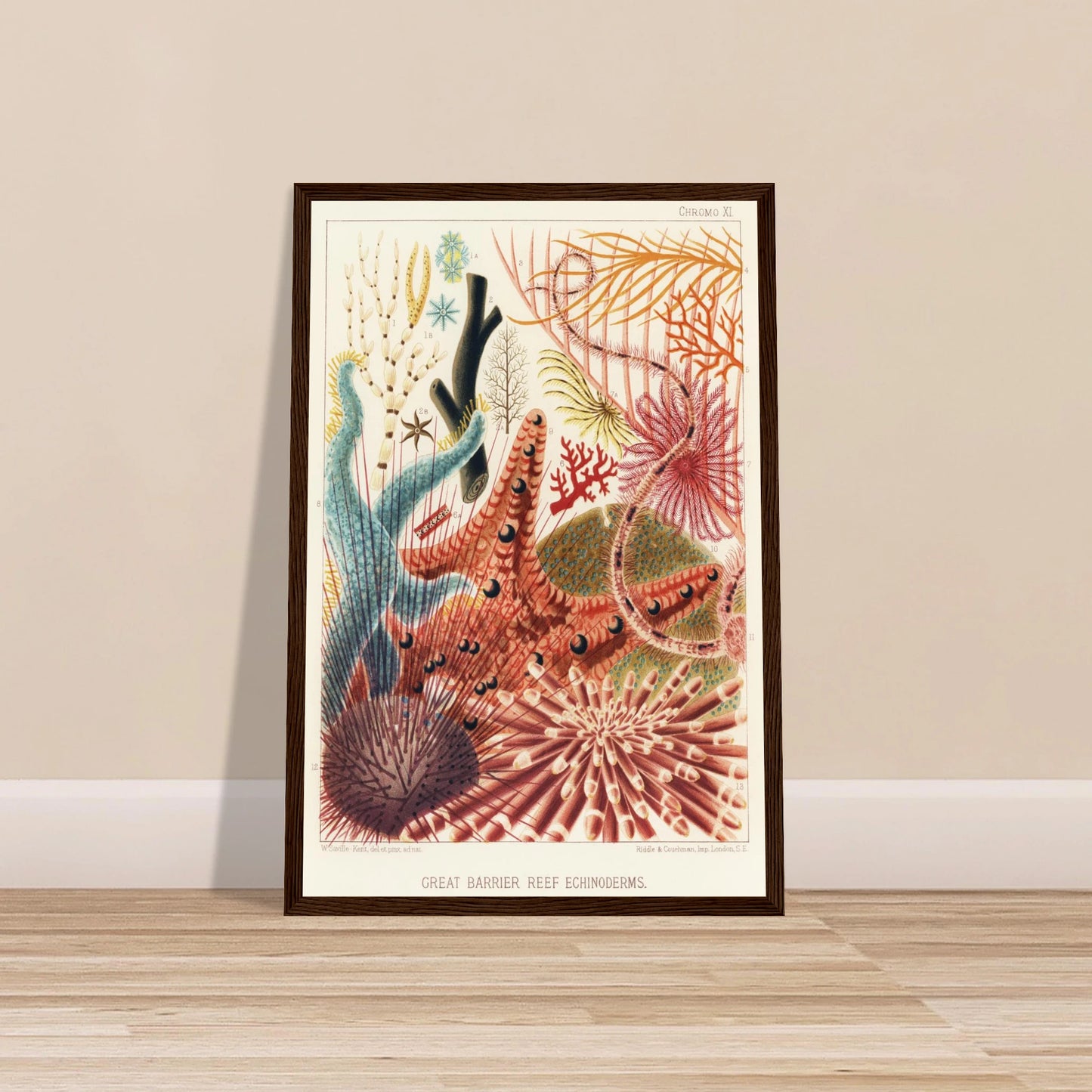 d867538f-1fb7-4c91-b40a-9f7e74014faa