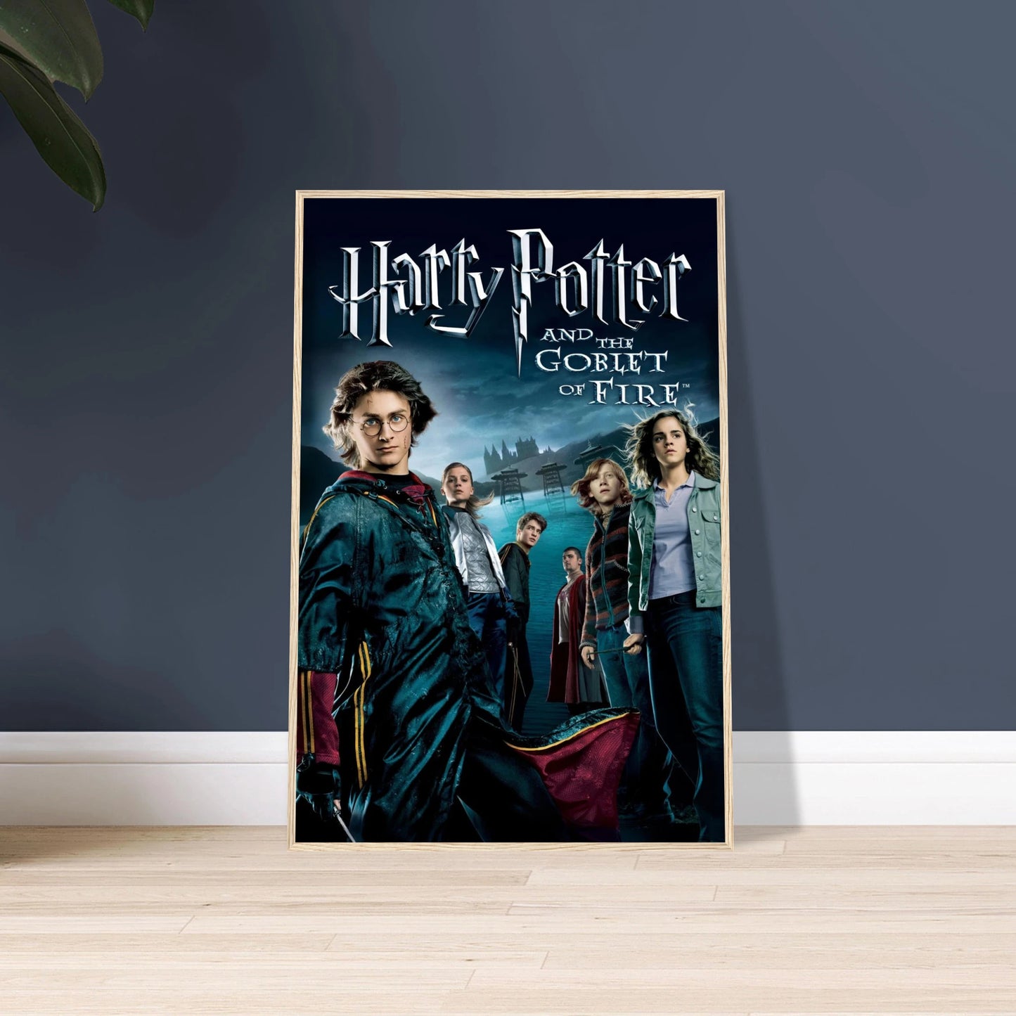 dd800df6-9b53-4f1a-9615-443583d99580