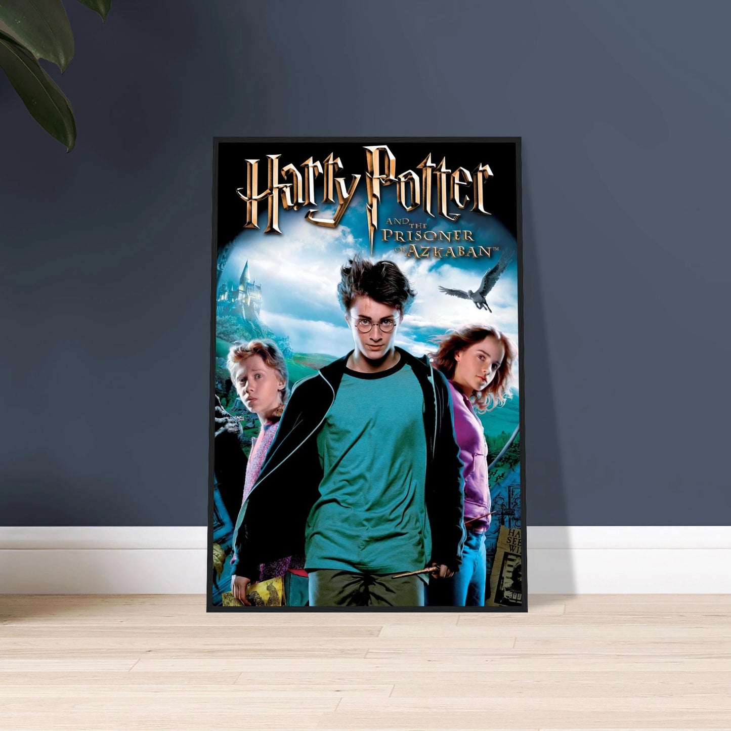 e601ba5d-200d-4bee-9090-fe01ef22022f