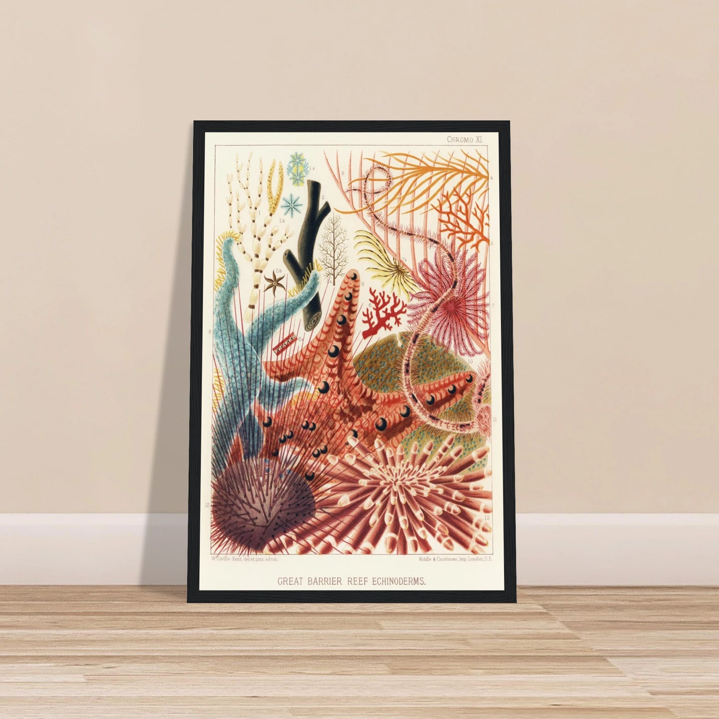 e811bbe5-9829-47fd-8425-f26650a4285c