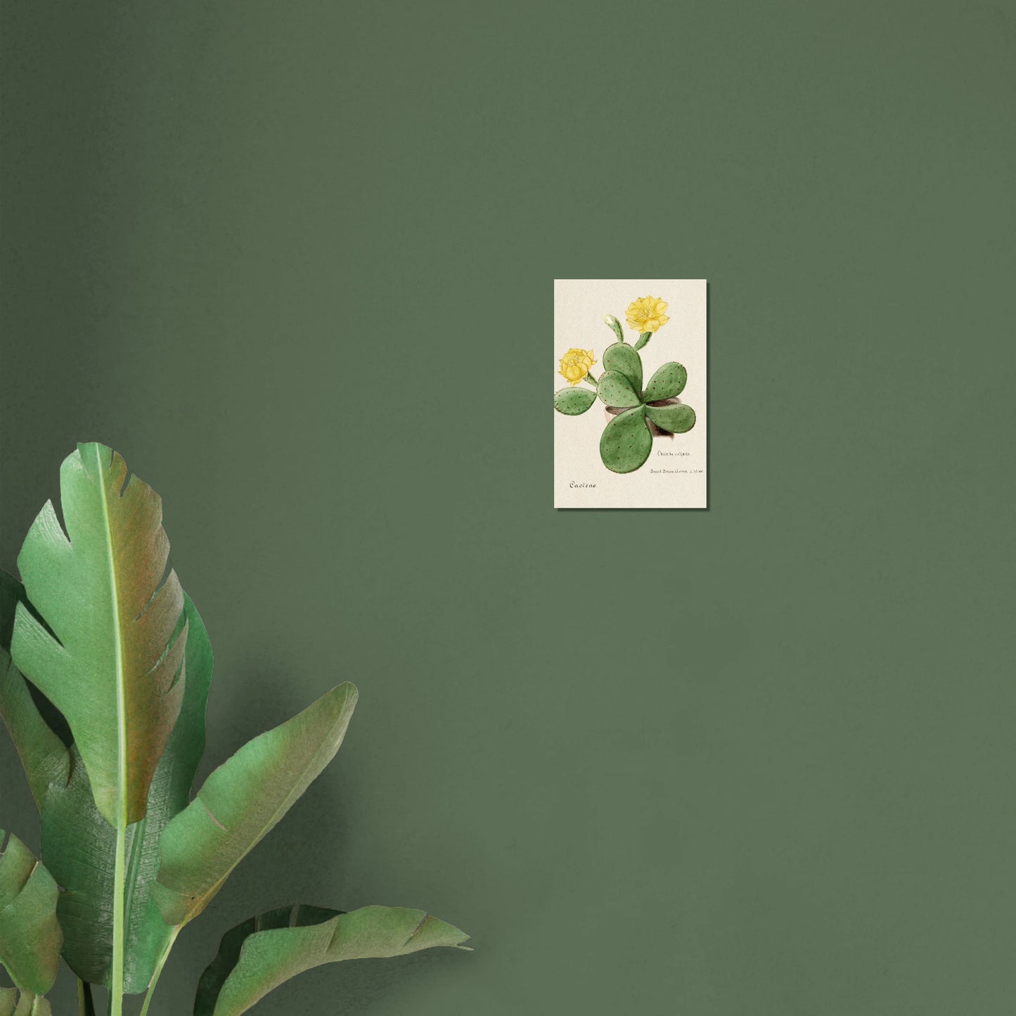 ead4f636-0407-4bb2-942e-d30b3e6b94d8